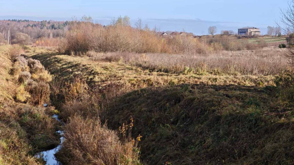 На Магілёўшчыне знайшлі амаль 3 000 гектар занядбаных меліараваных земляў