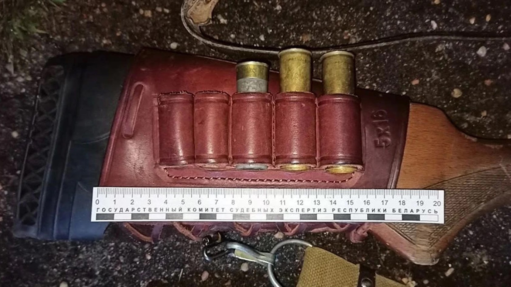 На Могилевщине больше чем вдвое вырос ущерб от незаконной охоты