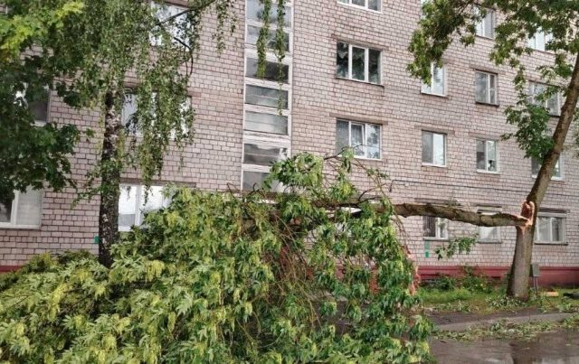 Па Бабруйску пранёсся моцны ўраган