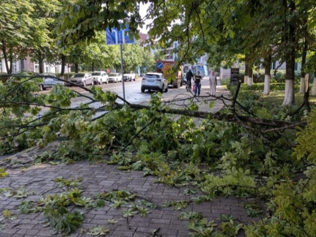 Бура ў Бабруйску: без пацярпелых, але з пашкоджанымі машынамі
