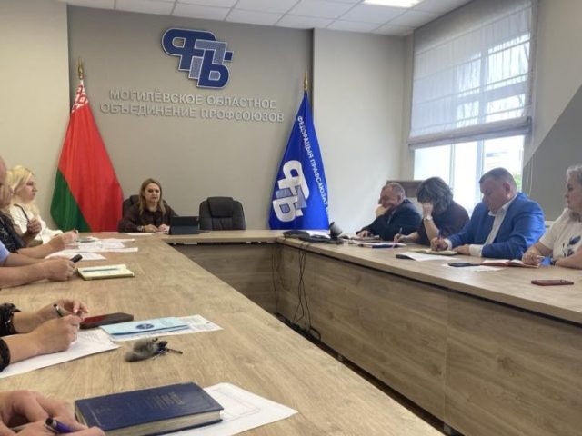 Функция провластных профсоюзов – контроль за торговлей