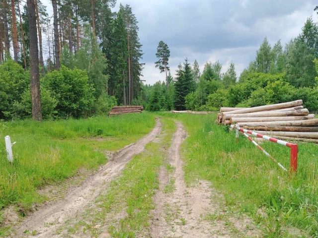 У лясгасах Магілёўшчыны маса недахопаў у працы ў пажаранебяспечны сезон