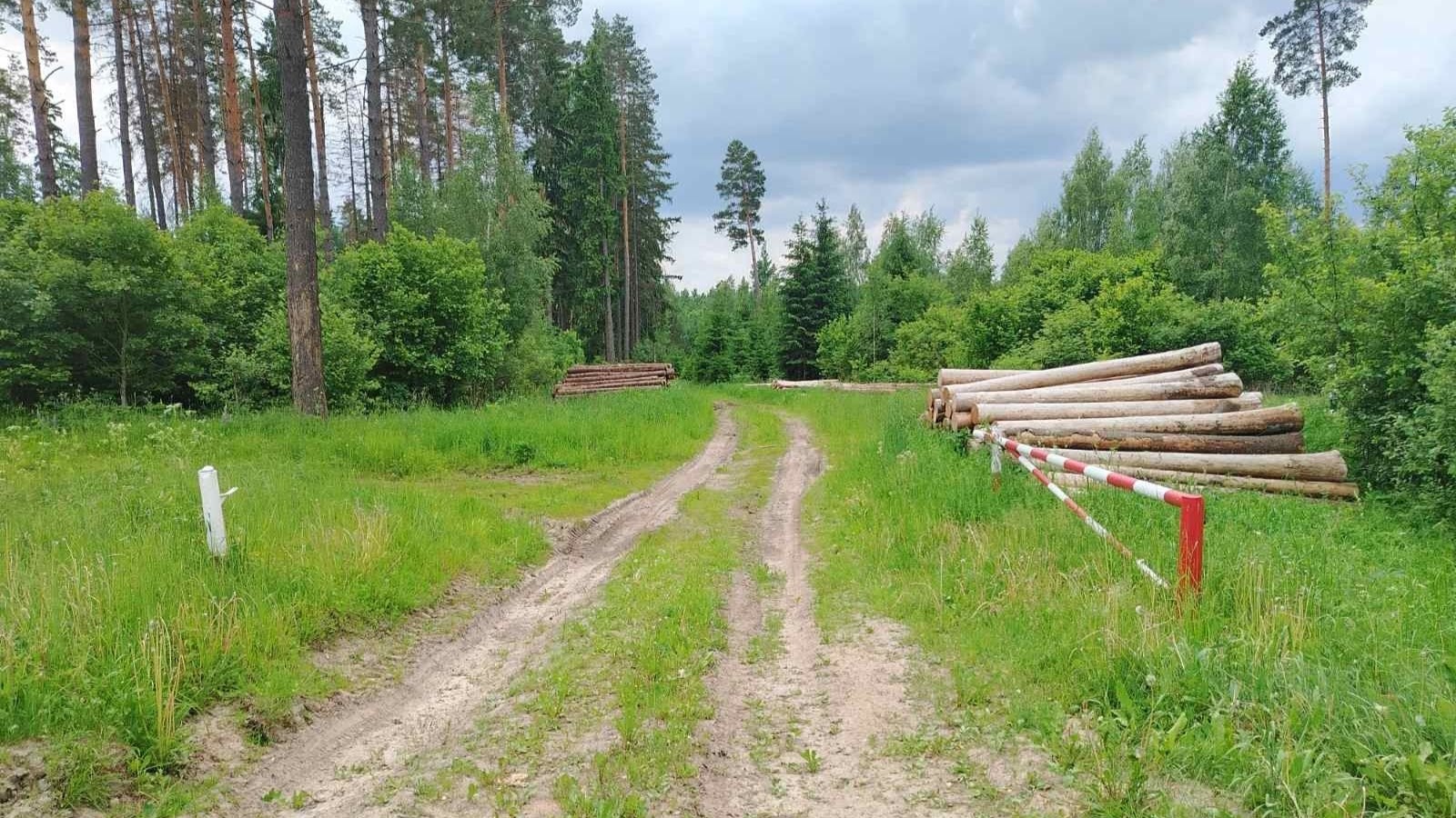 лесхоз