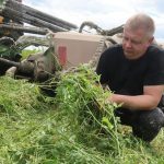 Аграрыі Быхаўшчыны спадзяюцца на добрае надвор’е і фартуну