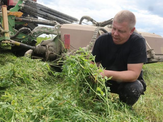 Аграрыі Быхаўшчыны спадзяюцца на добрае надвор’е і фартуну