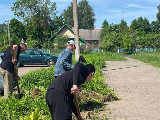 “Дэпутат” Гарошкін любіць талаку. У Дрыбіне і Касцюковічах да яе таксама неабыякавыя