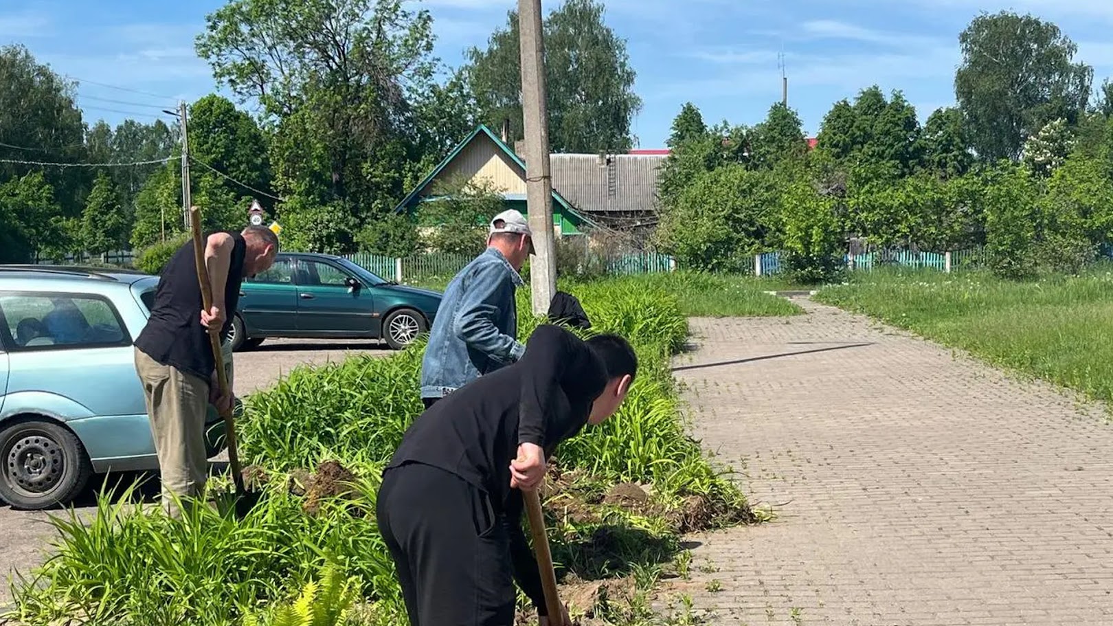 Толока