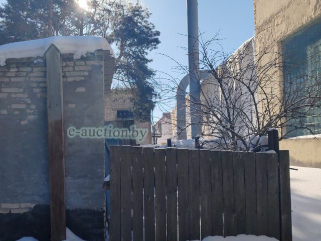 Мода на продаж старых сартыраў укараняецца на Магілёўшчыне