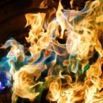 Магіляўчанка ледзьве не згарэла ў змаганні з насякомымі шкоднікамі