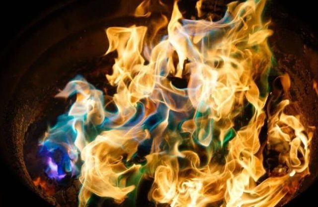 Магіляўчанка ледзьве не згарэла ў змаганні з насякомымі шкоднікамі