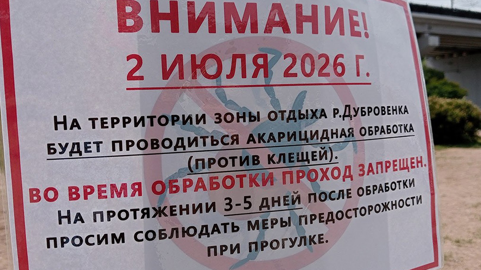 кляшчы