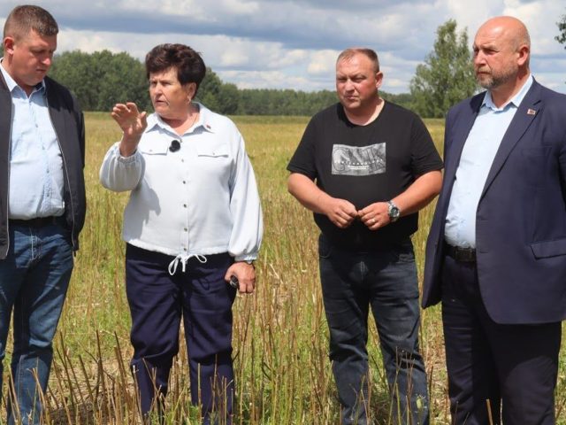 Каткавец праінспектавала палі Слаўгарадчыны і дала каштоўныя ўказанні