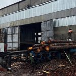 На дрэваапрацоўчай вытворчасці ў Круглым загінуў 32-гадовы рабочы