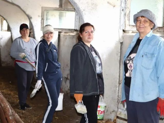 З Чэрыкава культработнікаў накіравалі на кароўнікі, а паштавікоў – дапамагаць сялу