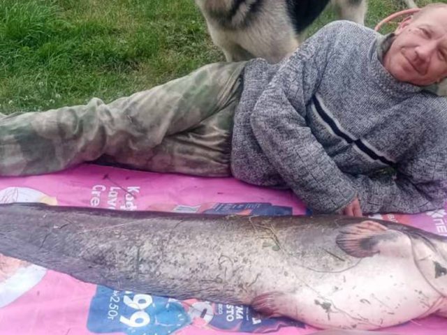 Рыбак у Магілёўскай вобласці выцягнуў сома вагой 32 кілаграмы і даўжынёй 1,6 метра