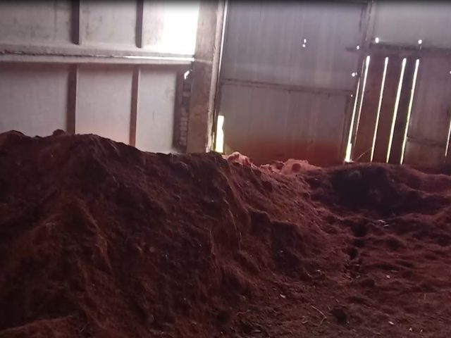 Весткі з магілёўскіх палёў захоўваюць стабільнасць: безгаспадарчасць і крадзяжы