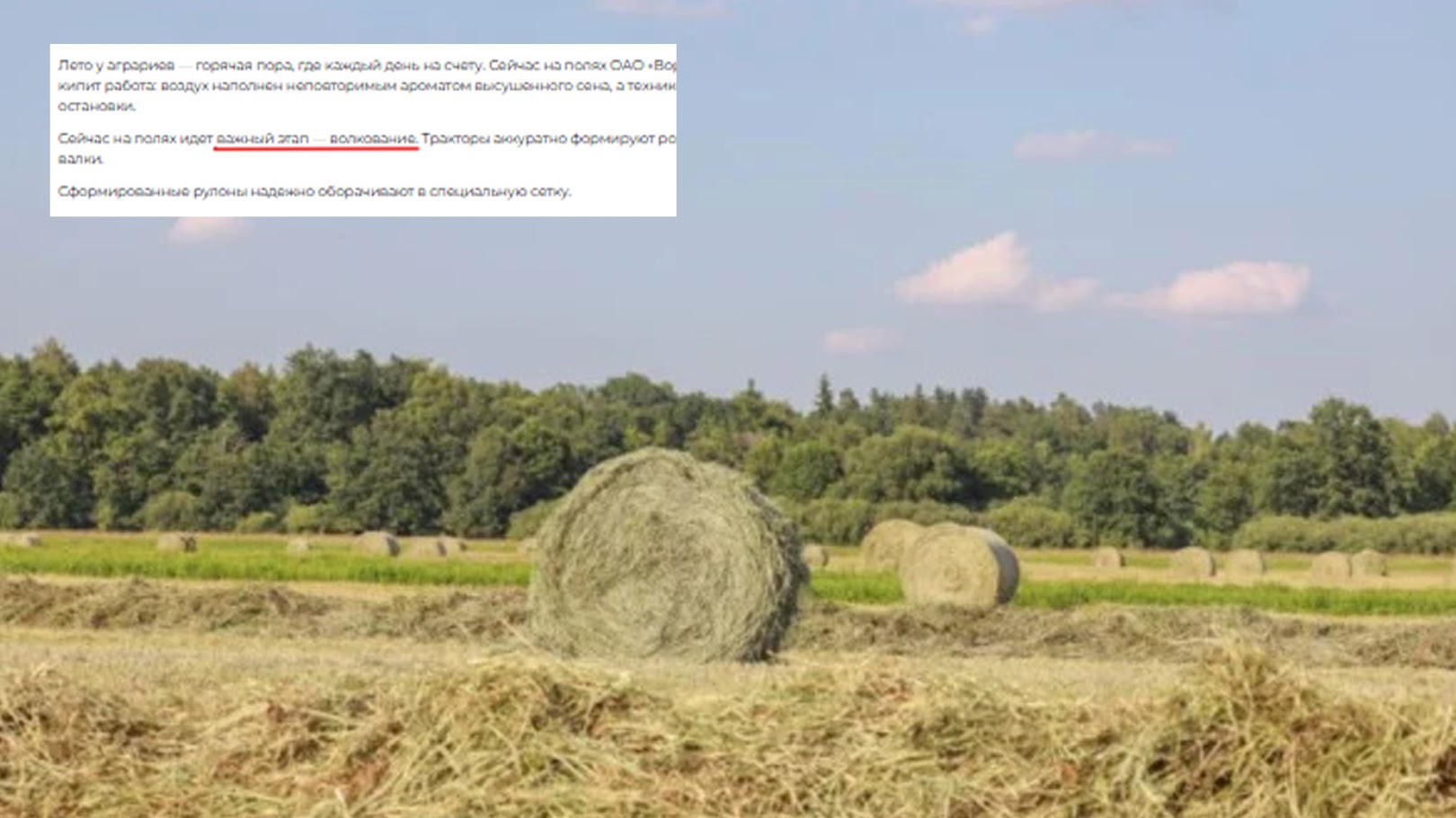 Ваўкаванне