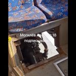 Па Магілёве ездзіў гарадскі аўтобус з вялікай дзіркай у падлозе